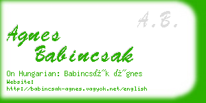 agnes babincsak business card